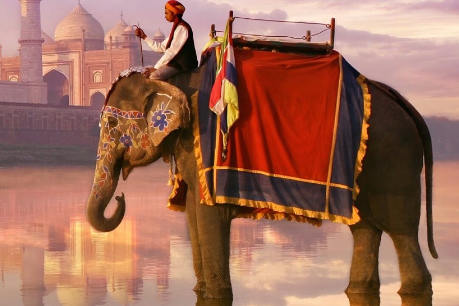 India – Triángulo de Oro